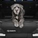 inlaad beschermmat subaru e-outback