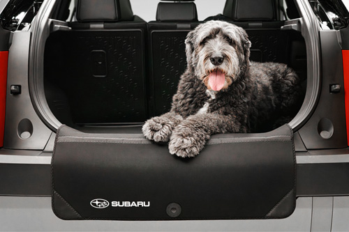 inlaad-beschermmat-subaru-uncharted inlaad beschermmat subaru uncharted