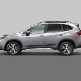 decoratiefolie zijdeuren subaru forester e-boxer