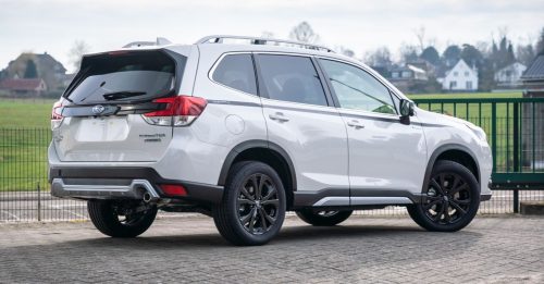 matthias casse black belt