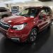subaru forester tweedehands premium