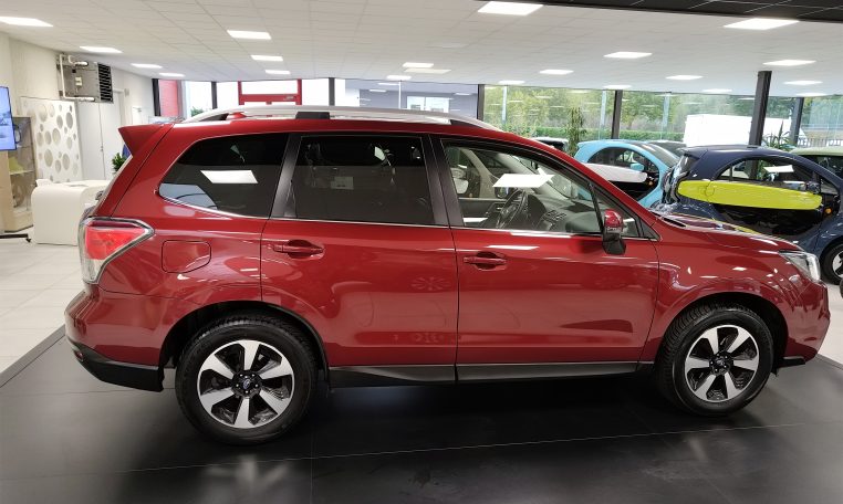 subaru forester tweedehands premium