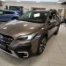 Subaru outback premium brilliant Bronze